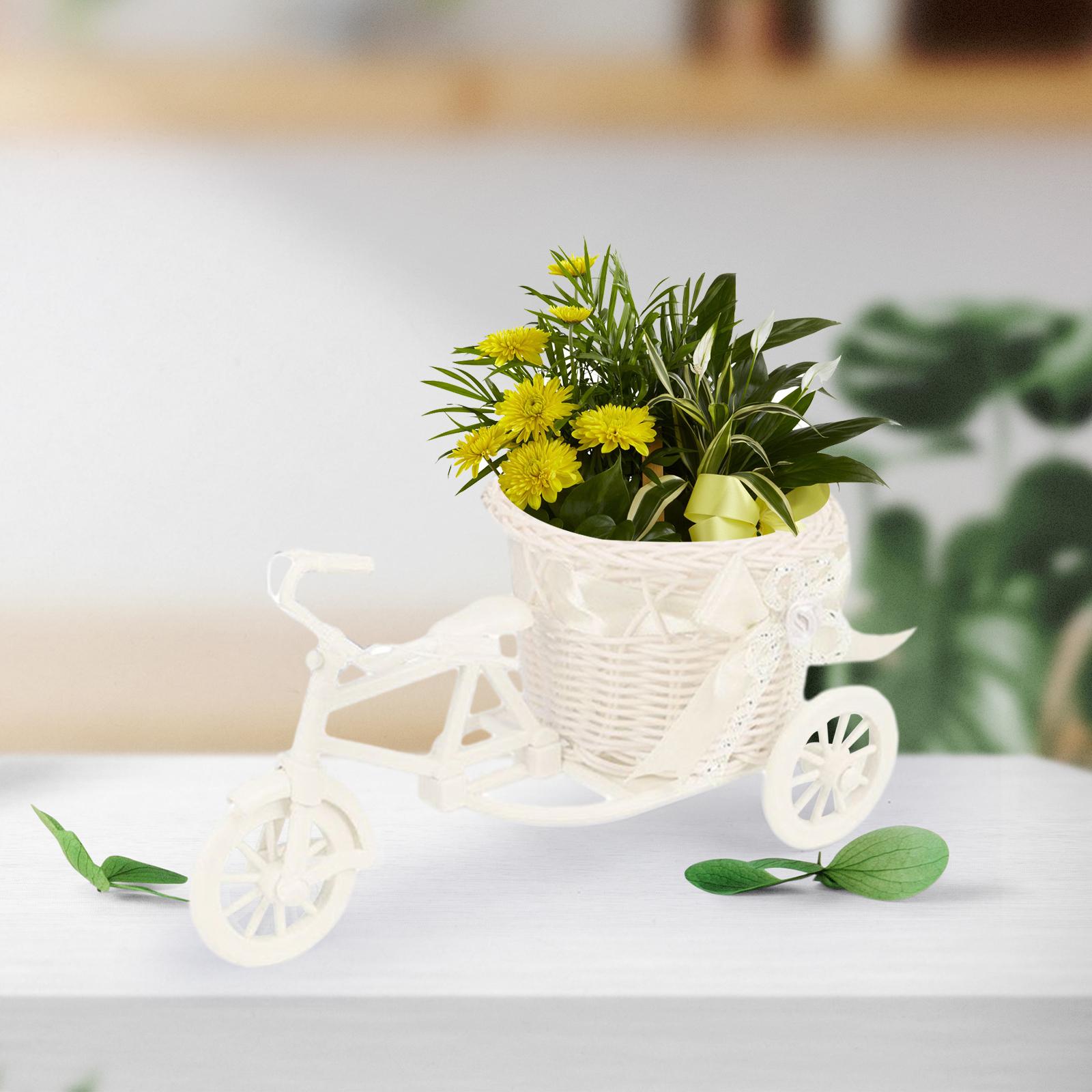 Bicycle Artificial Flower Bask - Wedding Hampers 리뷰 및 가격